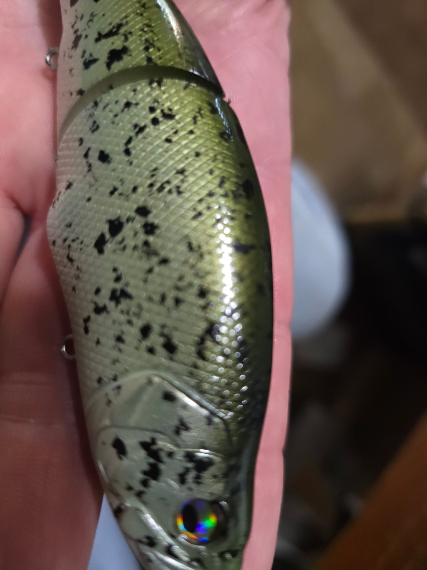 Little Bluegill Swimmer