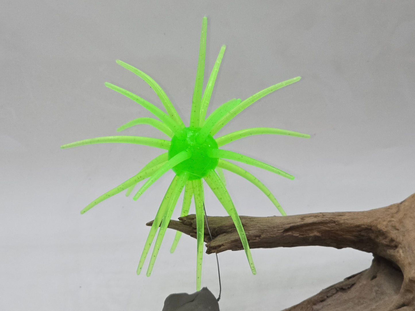 Urchins Size large 110mm Floating