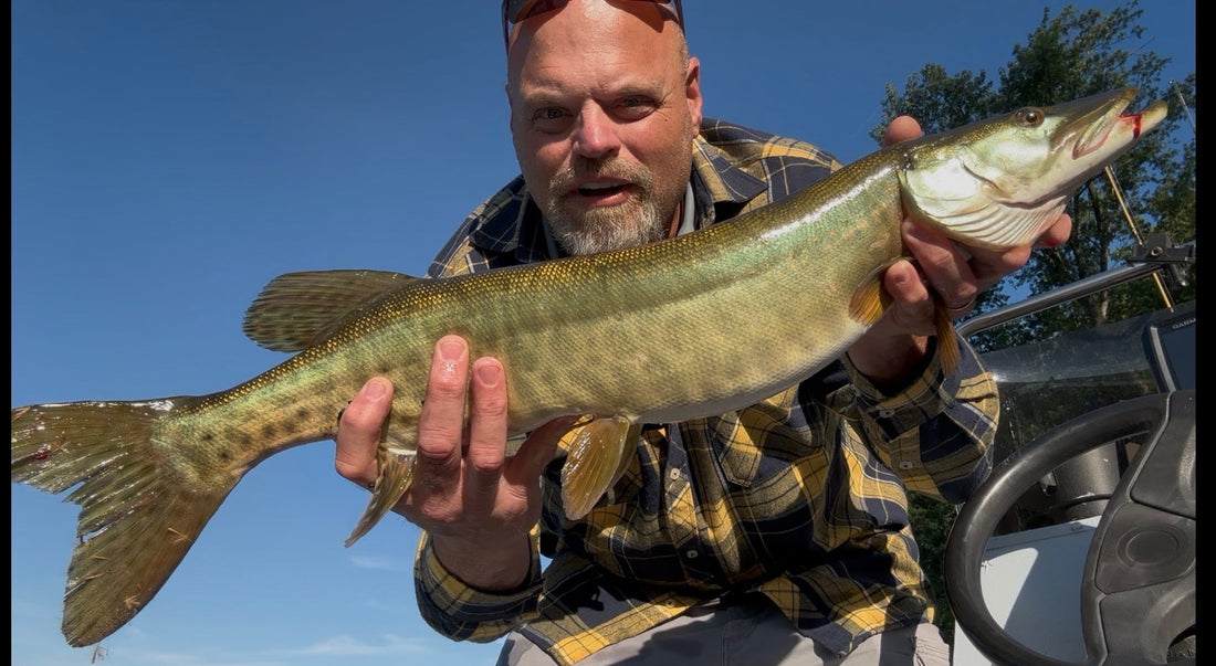 Chris Bogoly Musky 9" Eel