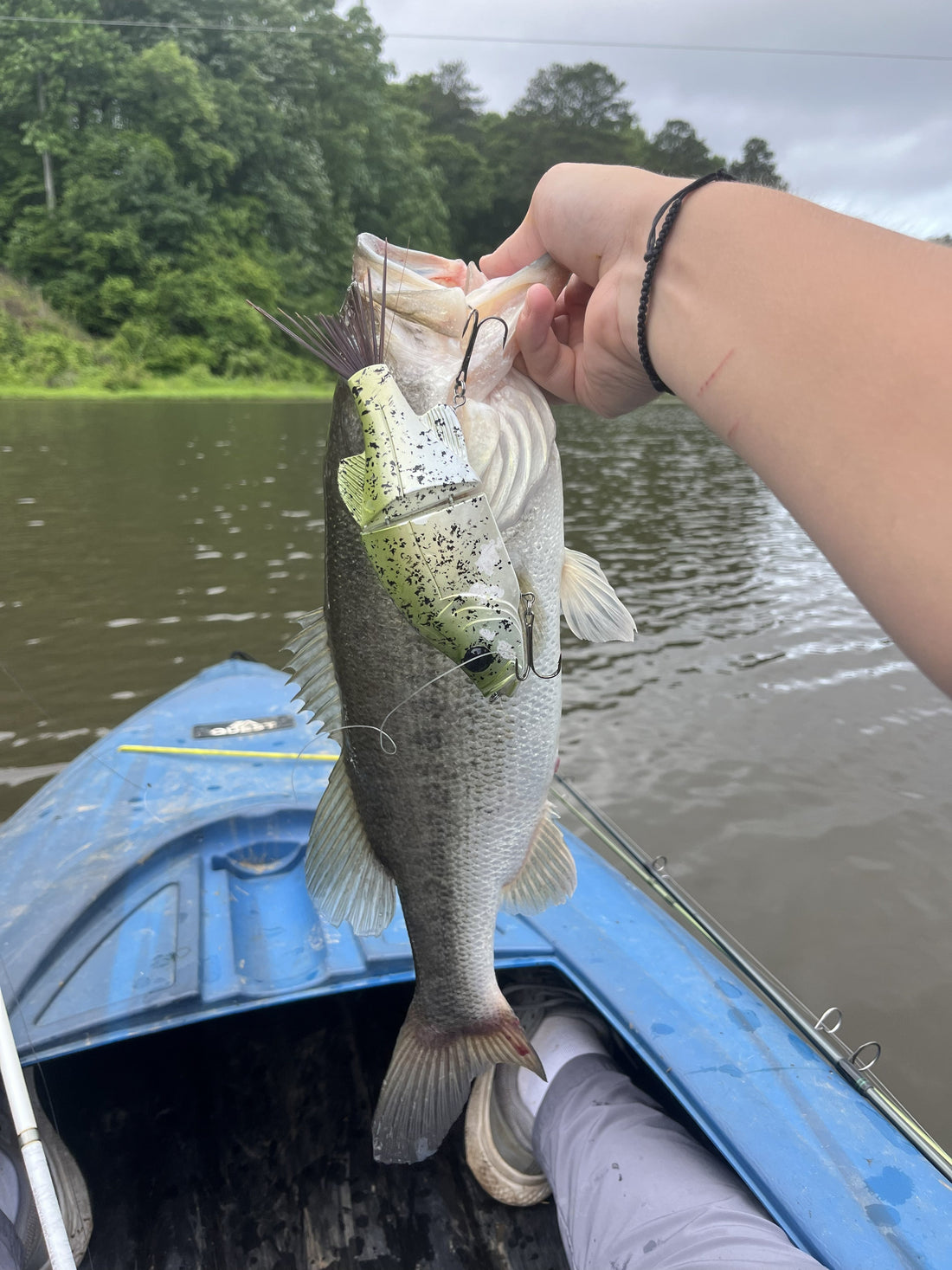 Another one from Max down in Georgia
