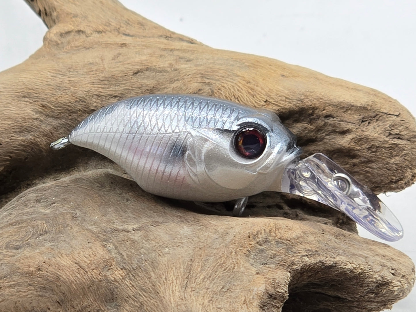 Fishing lure on a piece of driftwood with a white background