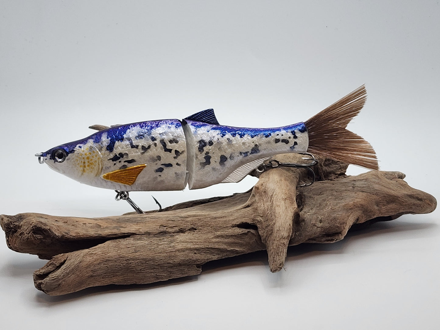 Rad Shad