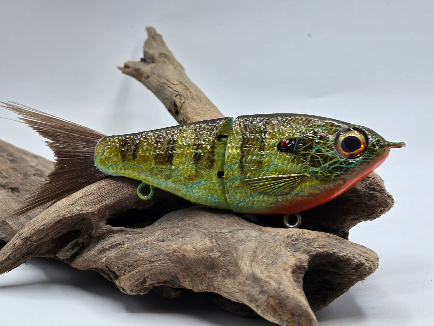Big Belly Shad