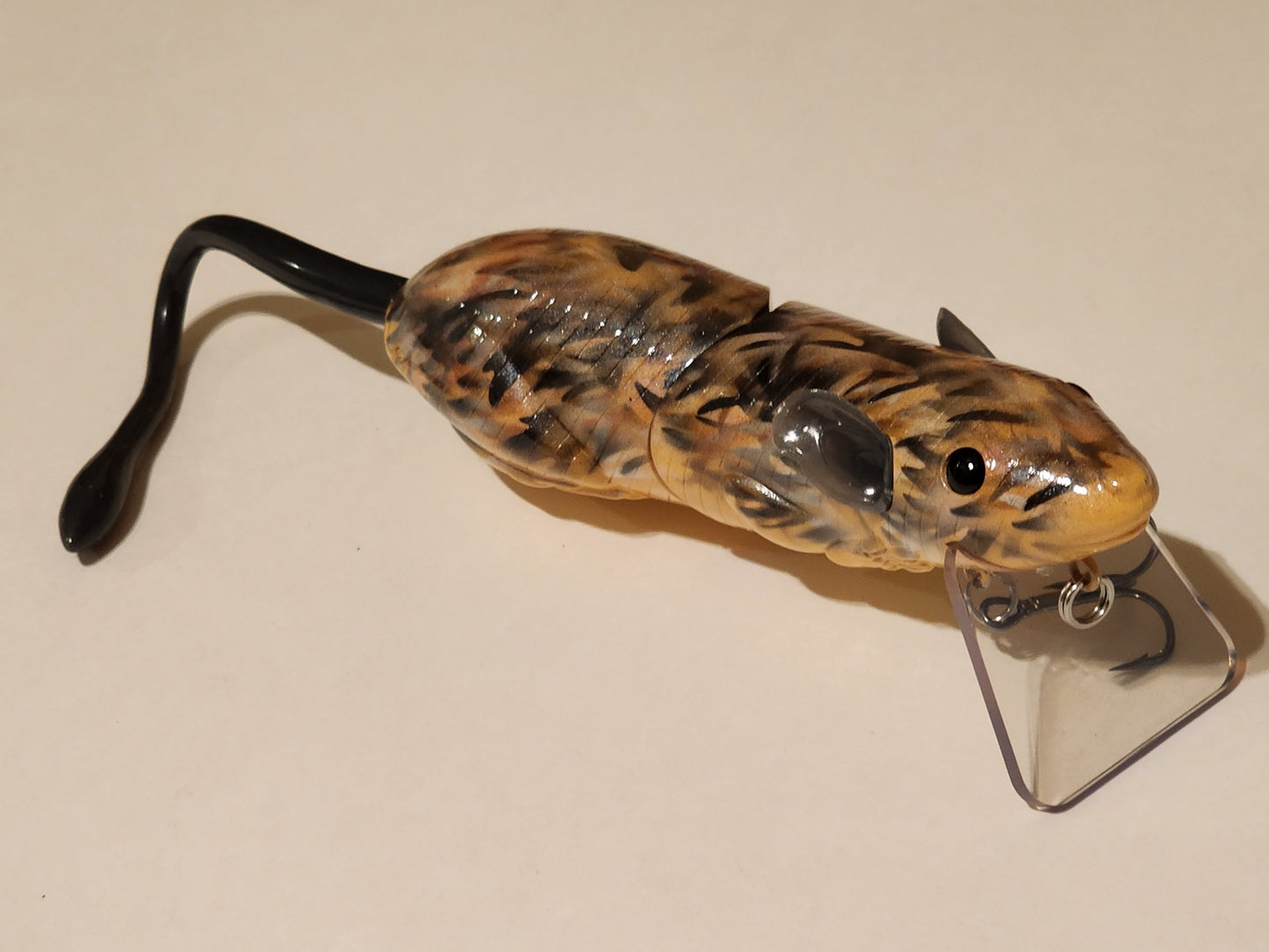 Wakes & Topwater