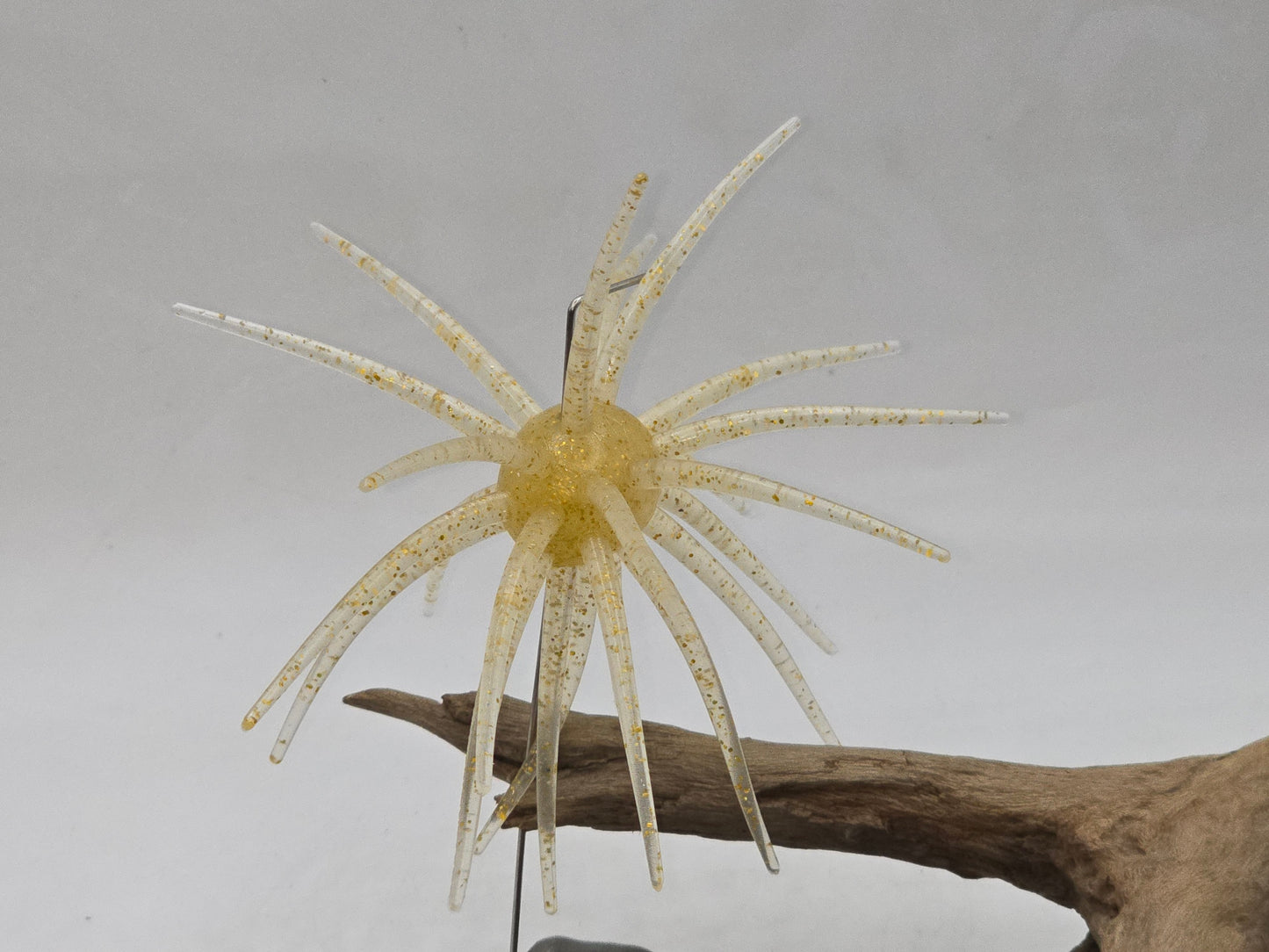 Urchins Size large 110mm Floating
