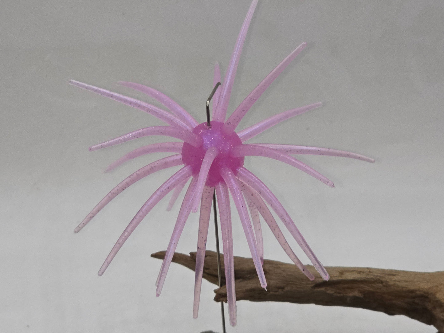 Urchins Size large 110mm Floating