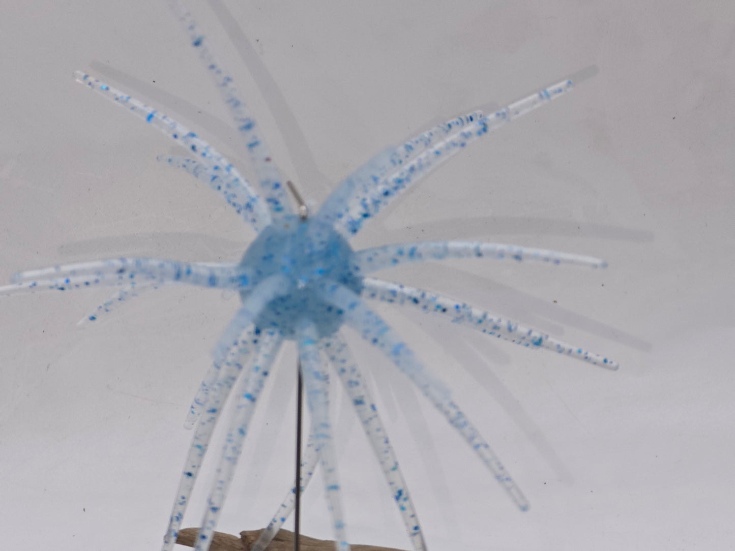 Urchins Size large 110mm Floating