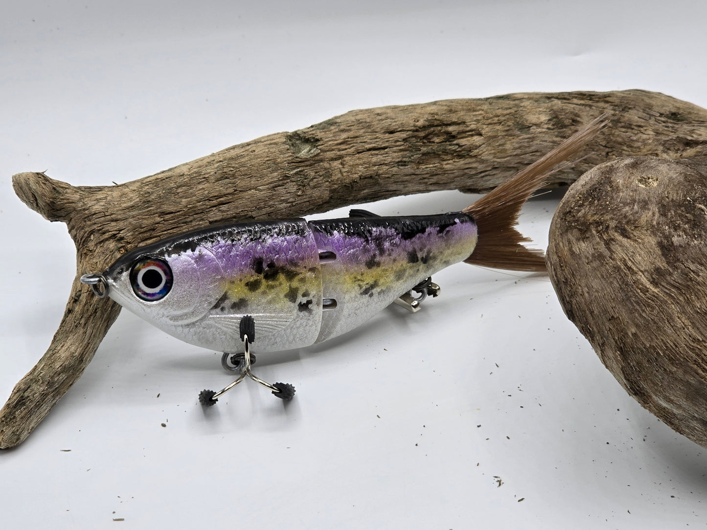 Big Belly Shad