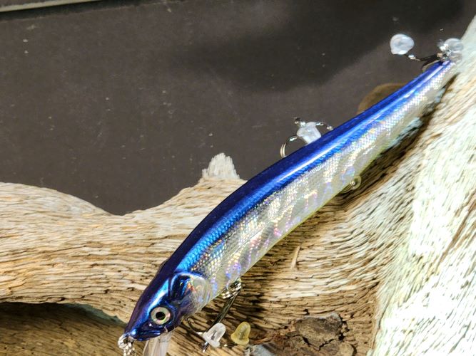 Vision 110 style Holographic