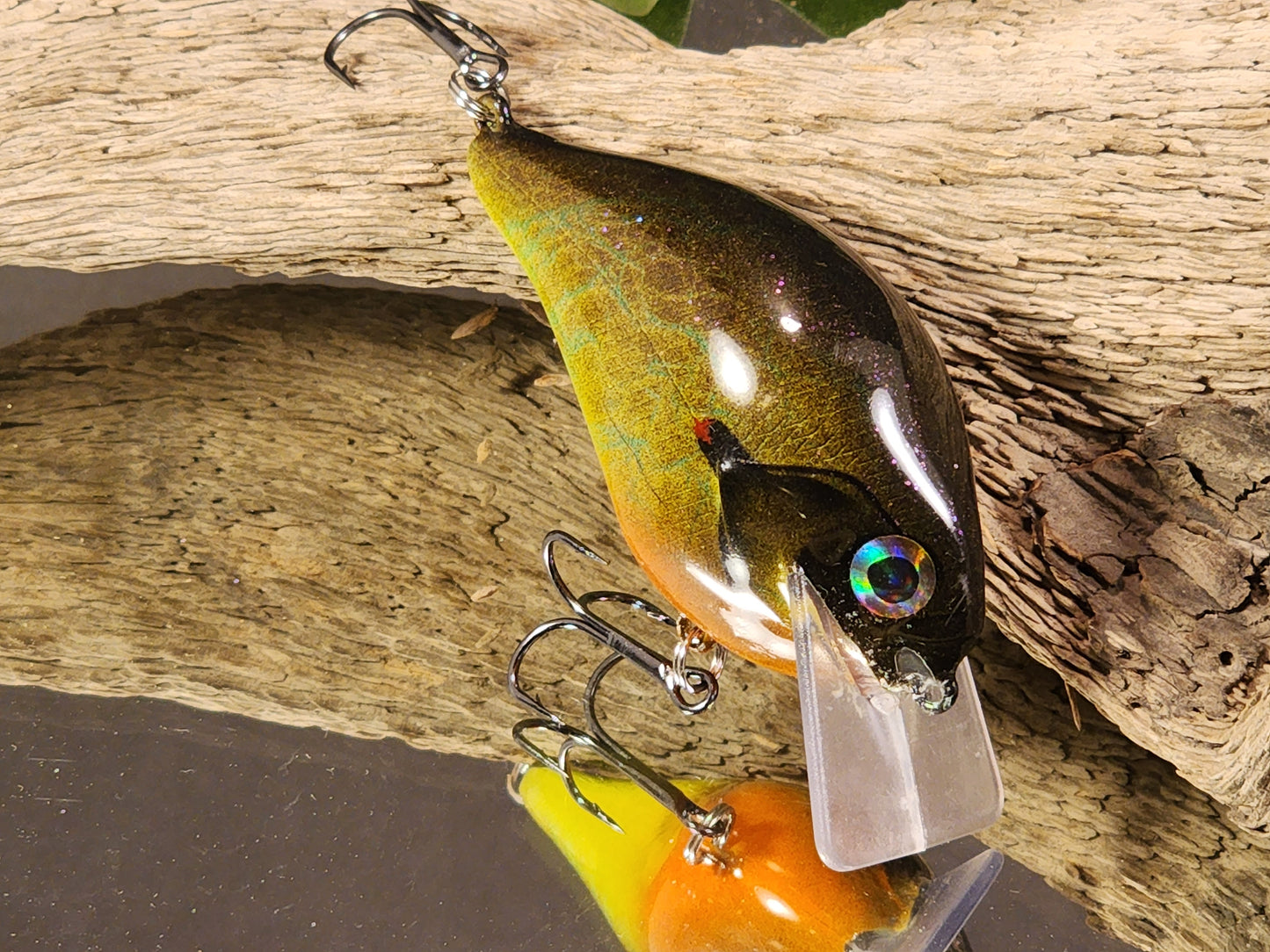 2.5 Squarebill