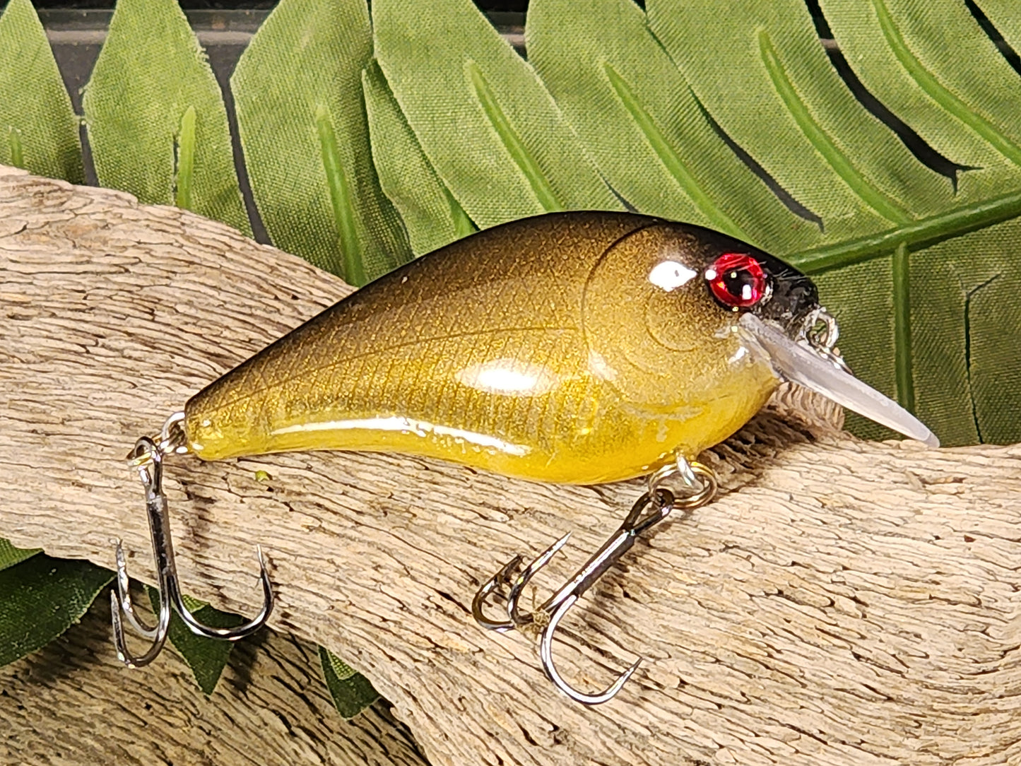 1.5 Squarebill
