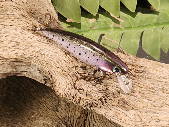 Small JerkBait Rainbow & Infamous  Brown Trout
